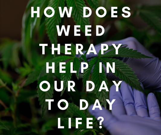 ¿Cómo ayuda la Weed Therapy en nuestro día a día?