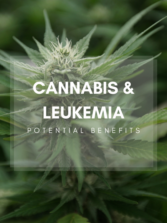 Beneficios potenciales del cannabis en el tratamiento de la leucemia