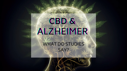 CBD en el tratamiento de la enfermedad de Alzheimer
