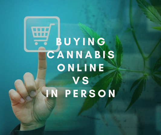 La experiencia de compra de cannabis en línea versus en persona