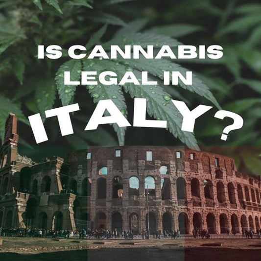 ¿Son legales los productos derivados del cannabis en Italia?