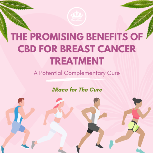 CBD y cáncer de mama: Explorando los beneficios potenciales y los prometedores resultados de la investigación