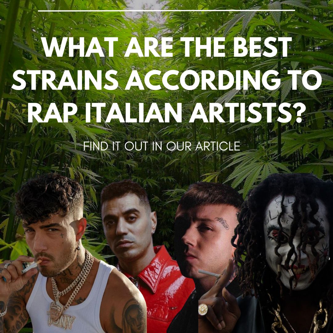 Tony Effe, Lazza, Marracash, Sfera Ebbasta, Jessee The Maestro y muchos otros: ¿cuáles son las cepas favoritas de los mejores artistas de la escena rap & trap italiana?