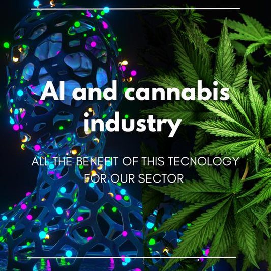 Cómo la inteligencia artificial puede cambiar las reglas del juego de la industria del cannabis