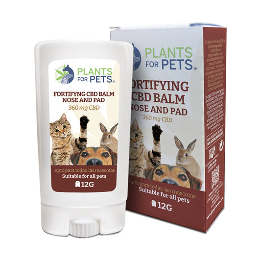 Plants for Pets, Fortifying CBD balm nose and pad.